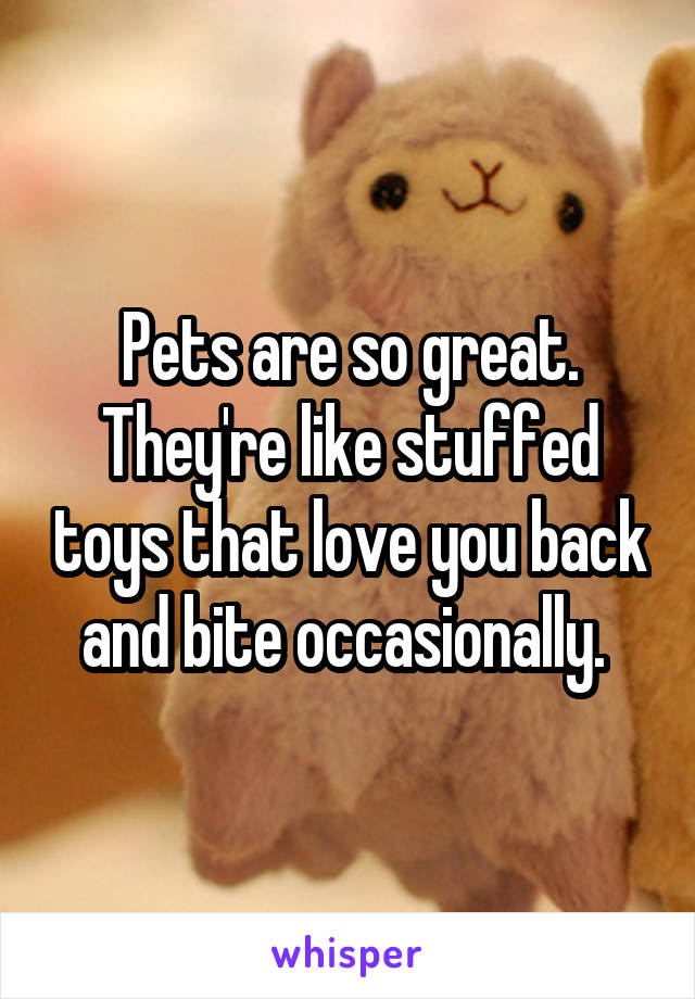 Pets are so great. They're like stuffed toys that love you back and bite occasionally. 