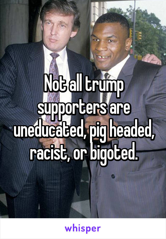 Not all trump supporters are uneducated, pig headed, racist, or bigoted.