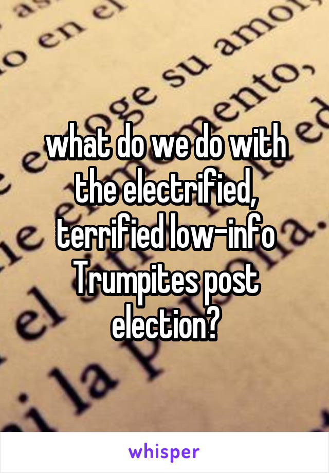 what do we do with the electrified, terrified low-info Trumpites post election?