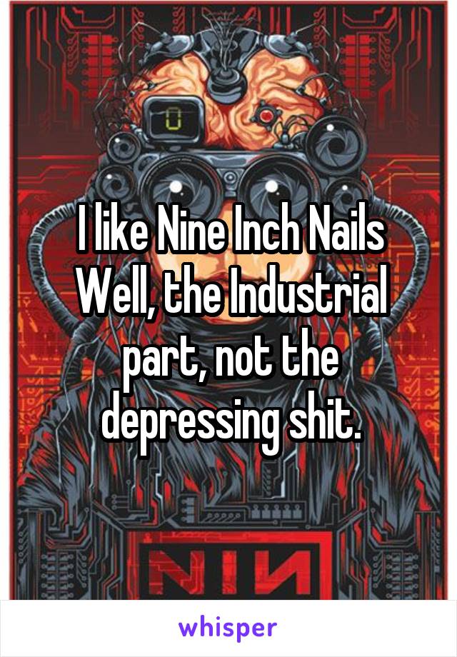 I like Nine Inch Nails
Well, the Industrial part, not the depressing shit.