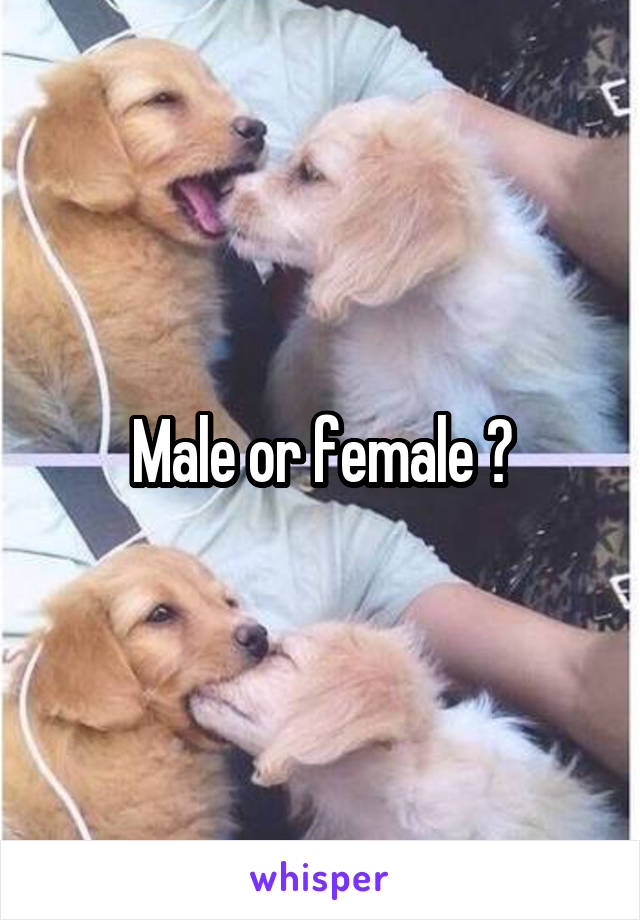 Male or female ?