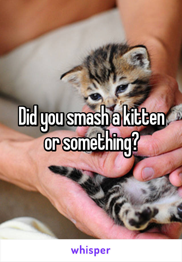 Did you smash a kitten or something?