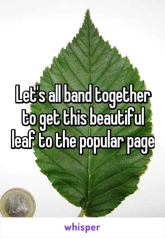 Let's all band together to get this beautiful leaf to the popular page