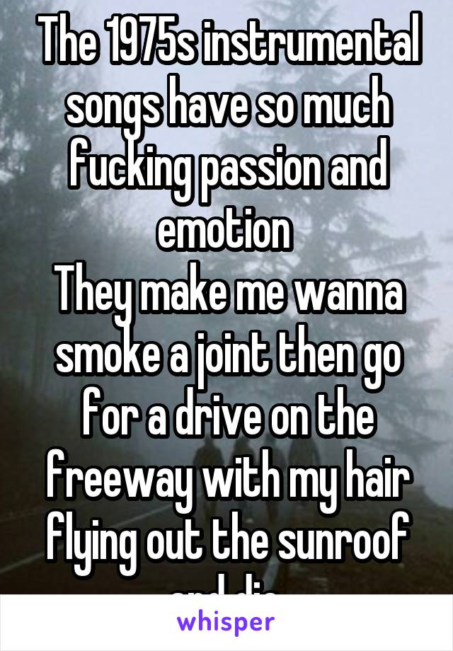 The 1975s instrumental songs have so much fucking passion and emotion 
They make me wanna smoke a joint then go for a drive on the freeway with my hair flying out the sunroof and die 