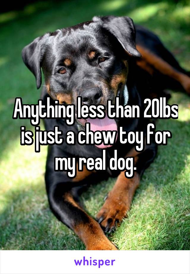 Anything less than 20lbs is just a chew toy for my real dog.