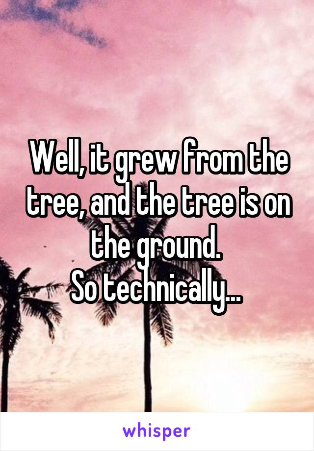 Well, it grew from the tree, and the tree is on the ground. 
So technically... 