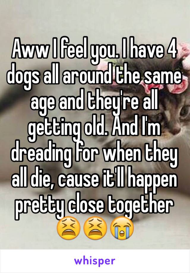Aww I feel you. I have 4 dogs all around the same age and they're all getting old. And I'm dreading for when they all die, cause it'll happen pretty close together 😫😫😭