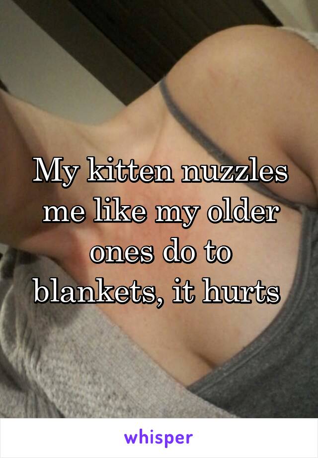My kitten nuzzles me like my older ones do to blankets, it hurts 