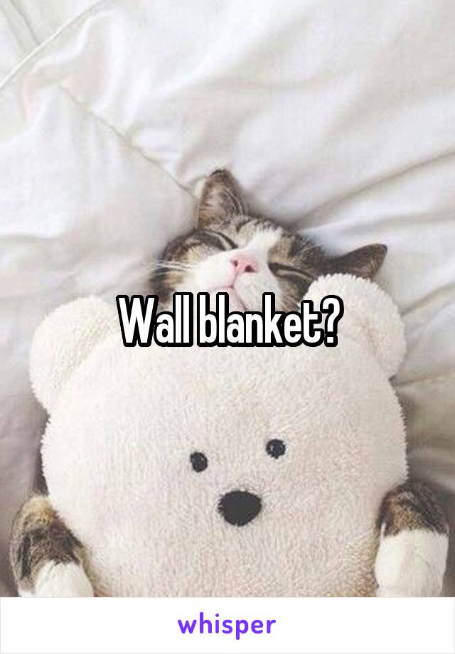Wall blanket?