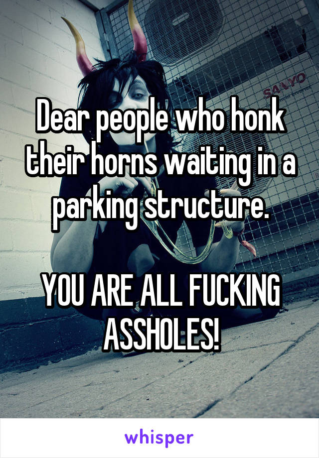 Dear people who honk their horns waiting in a parking structure.

YOU ARE ALL FUCKING ASSHOLES!