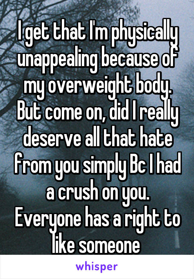 I get that I'm physically unappealing because of my overweight body. But come on, did I really deserve all that hate from you simply Bc I had a crush on you. Everyone has a right to like someone 
