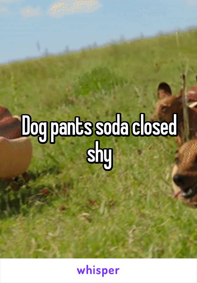 Dog pants soda closed shy