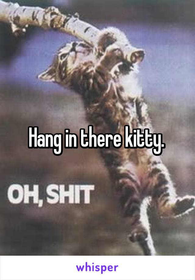 Hang in there kitty. 