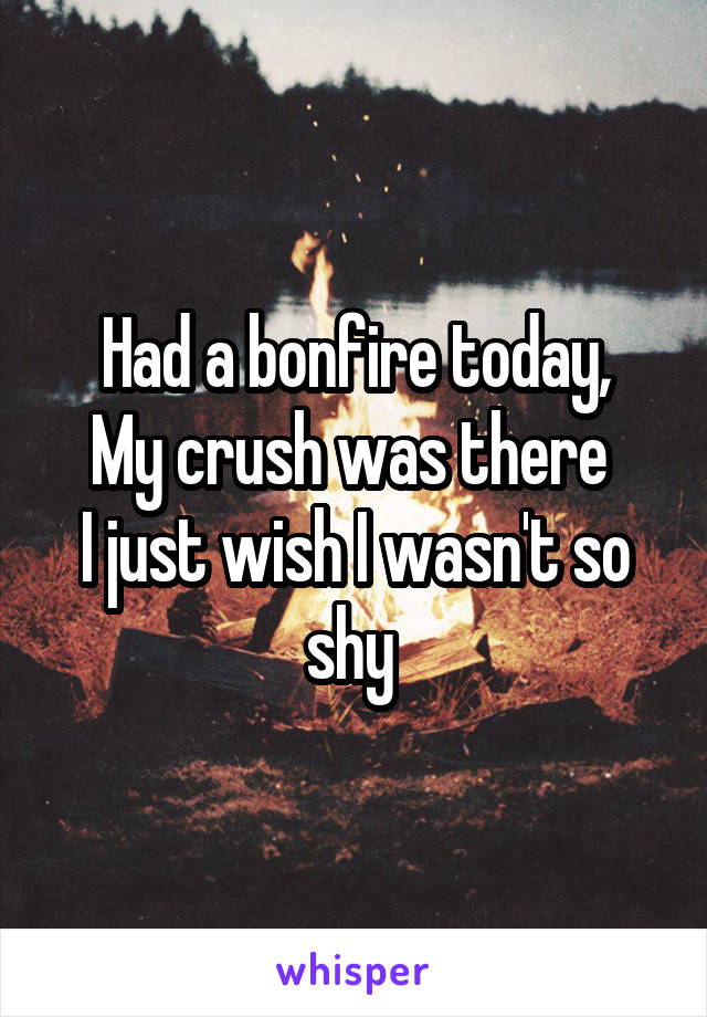 Had a bonfire today,
My crush was there 
I just wish I wasn't so shy 