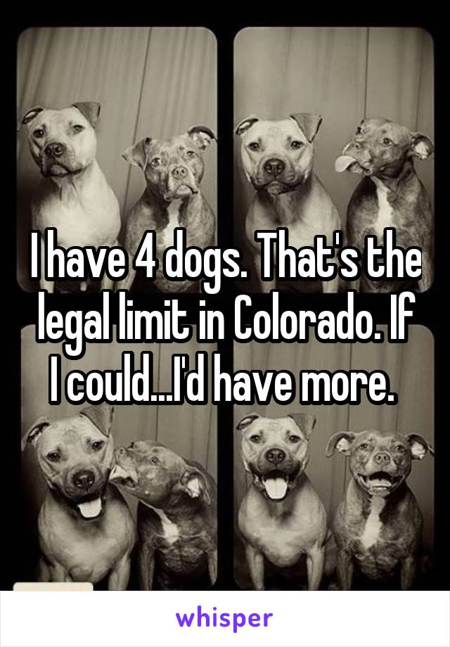 I have 4 dogs. That's the legal limit in Colorado. If I could...I'd have more. 