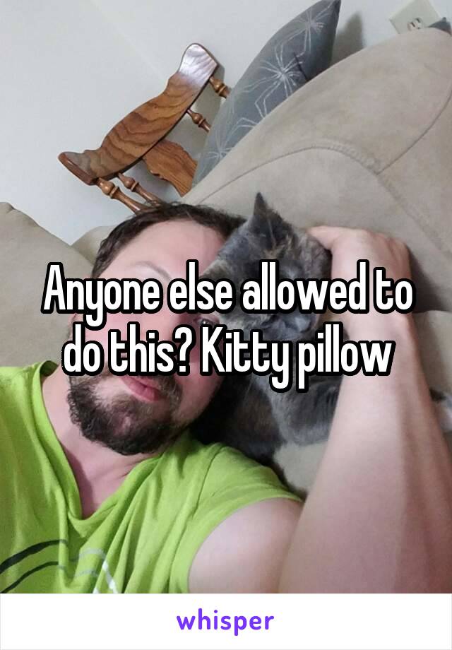 Anyone else allowed to do this? Kitty pillow