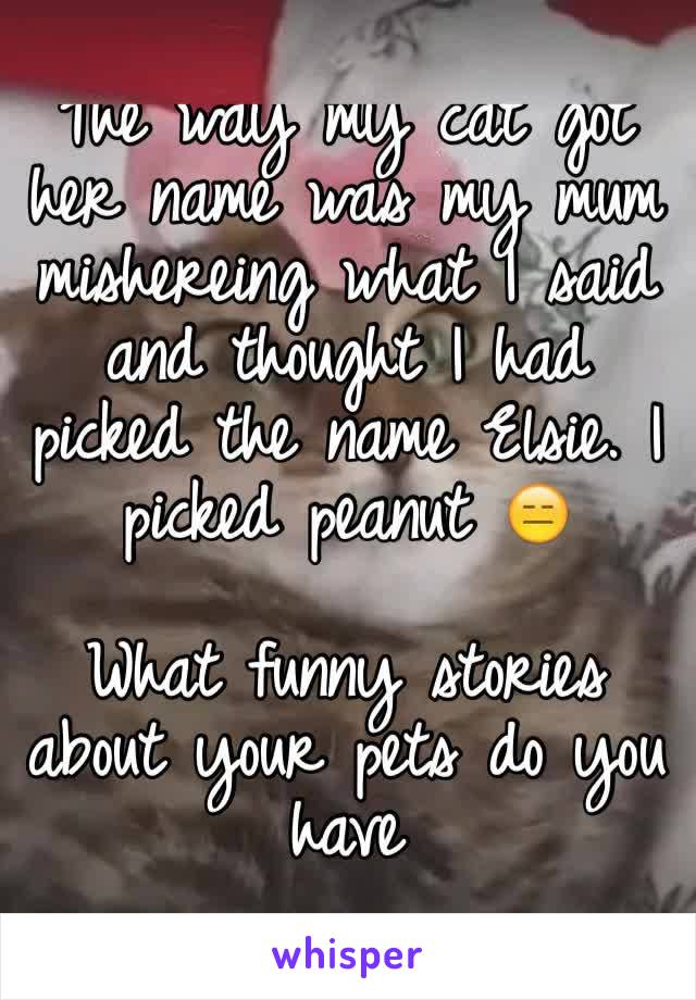 The way my cat got her name was my mum mishereing what I said and thought I had picked the name Elsie. I picked peanut 😑 

What funny stories about your pets do you have
