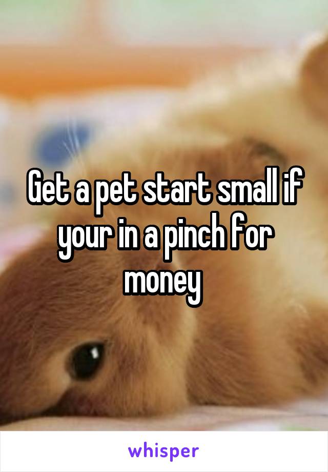 Get a pet start small if your in a pinch for money 