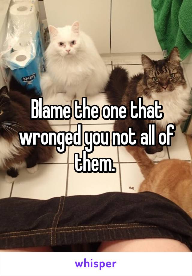 Blame the one that wronged you not all of them. 