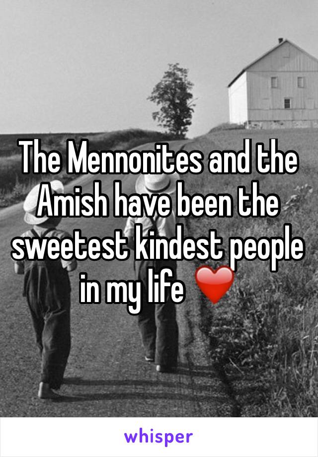 The Mennonites and the Amish have been the sweetest kindest people in my life ❤️