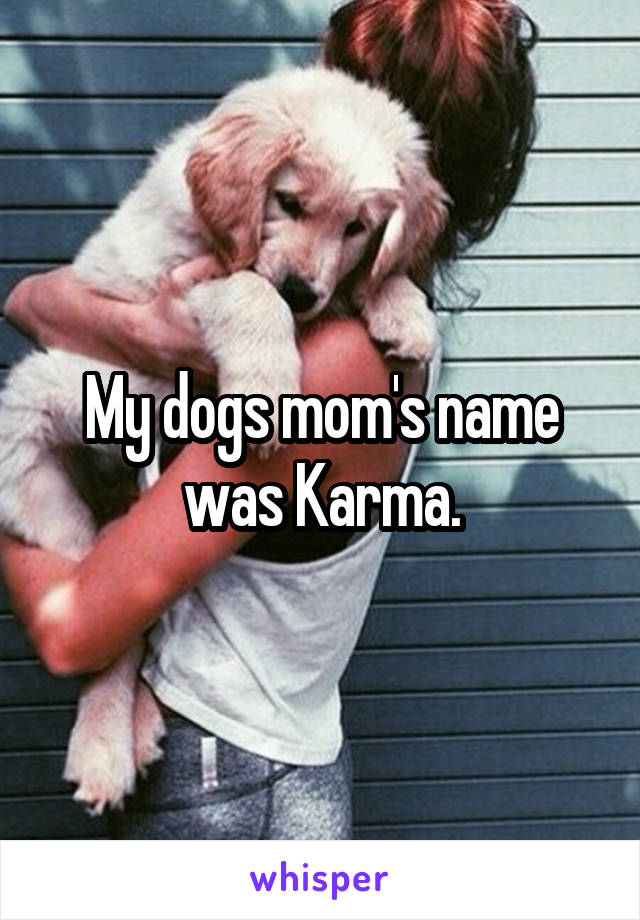My dogs mom's name was Karma.
