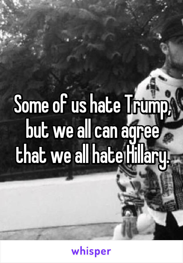 Some of us hate Trump, but we all can agree that we all hate Hillary.
