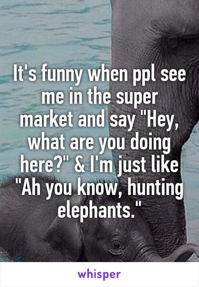 It's funny when ppl see me in the super market and say "Hey, what are you doing here?" & I'm just like "Ah you know, hunting elephants."