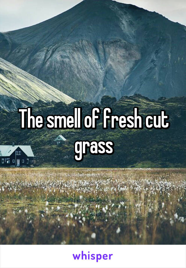 The smell of fresh cut grass