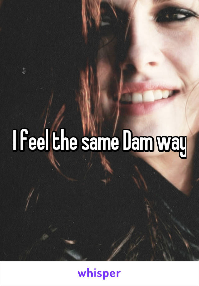 I feel the same Dam way