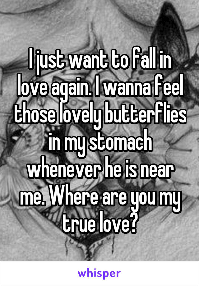 I just want to fall in love again. I wanna feel those lovely butterflies in my stomach whenever he is near me. Where are you my true love?