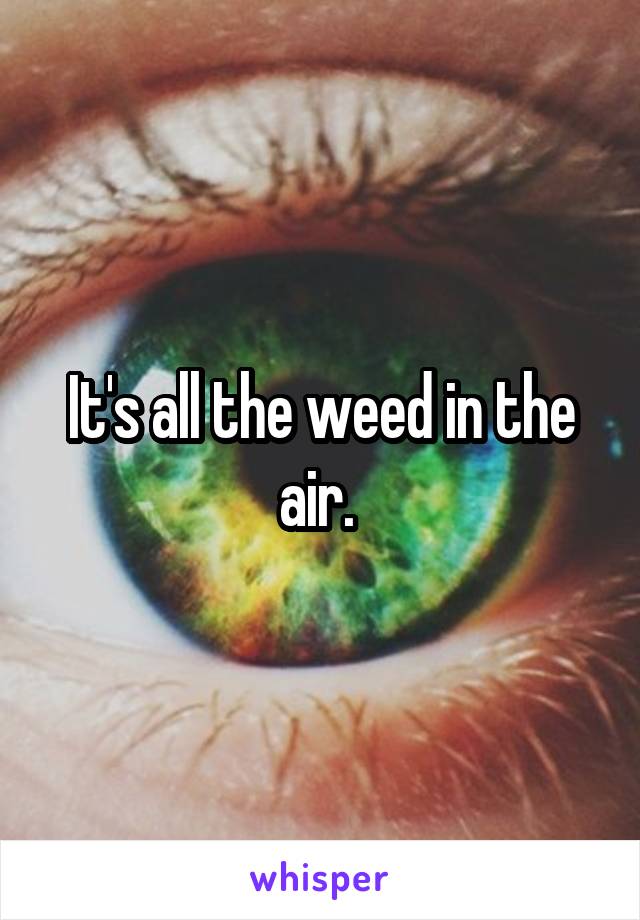 It's all the weed in the air. 