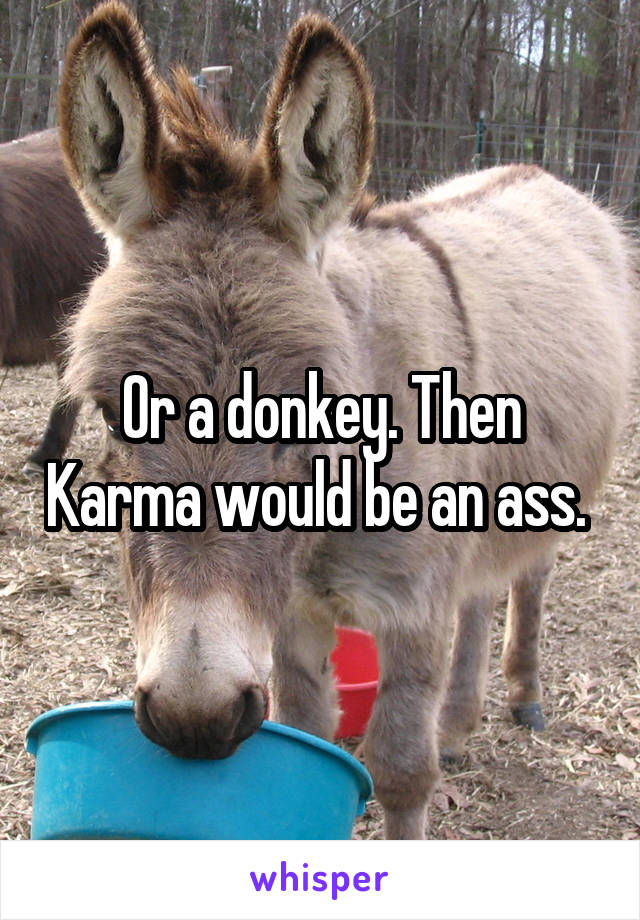 Or a donkey. Then Karma would be an ass. 