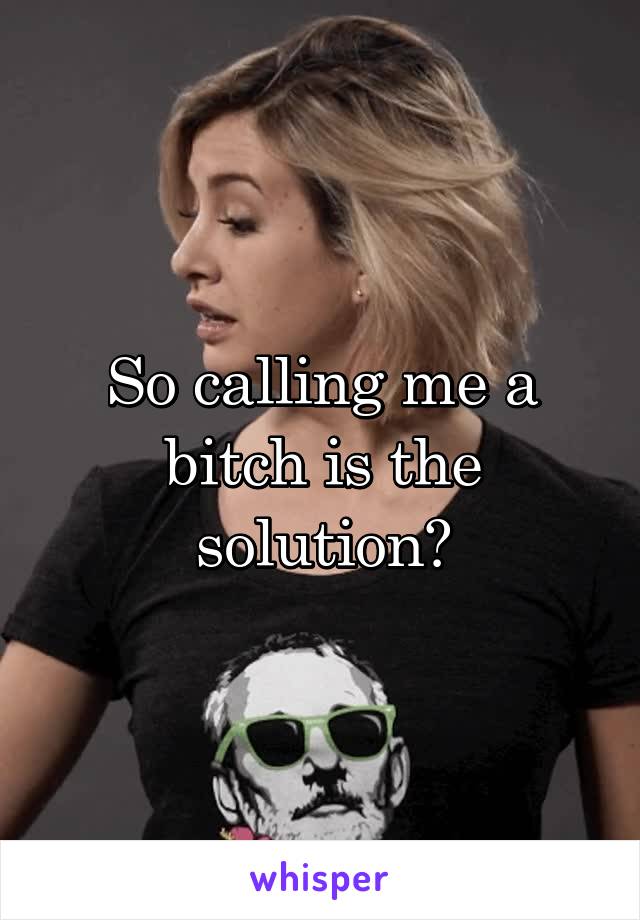 So calling me a bitch is the solution?