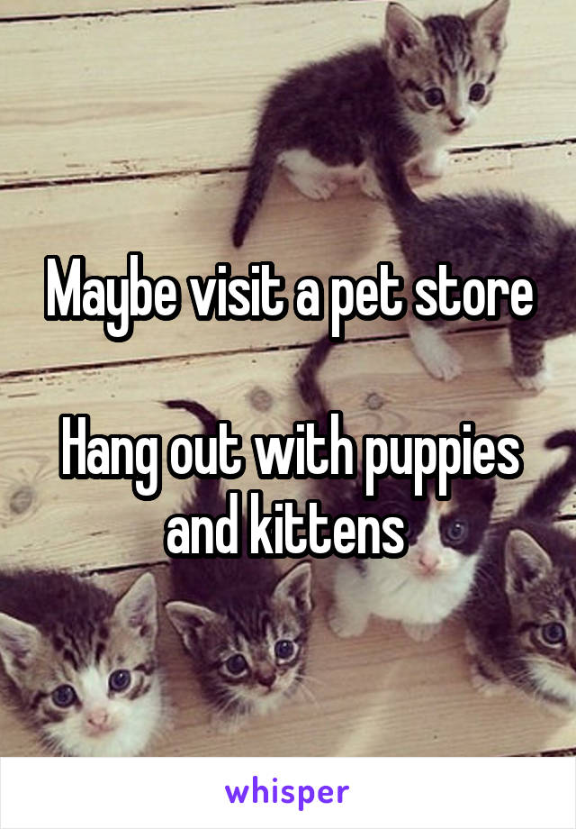 Maybe visit a pet store

Hang out with puppies and kittens 