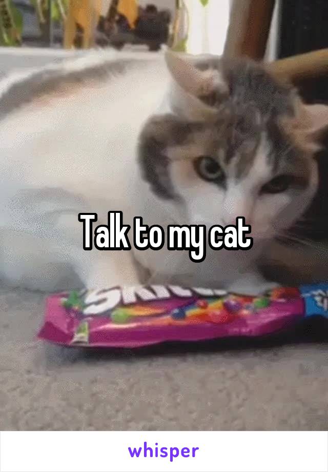 Talk to my cat