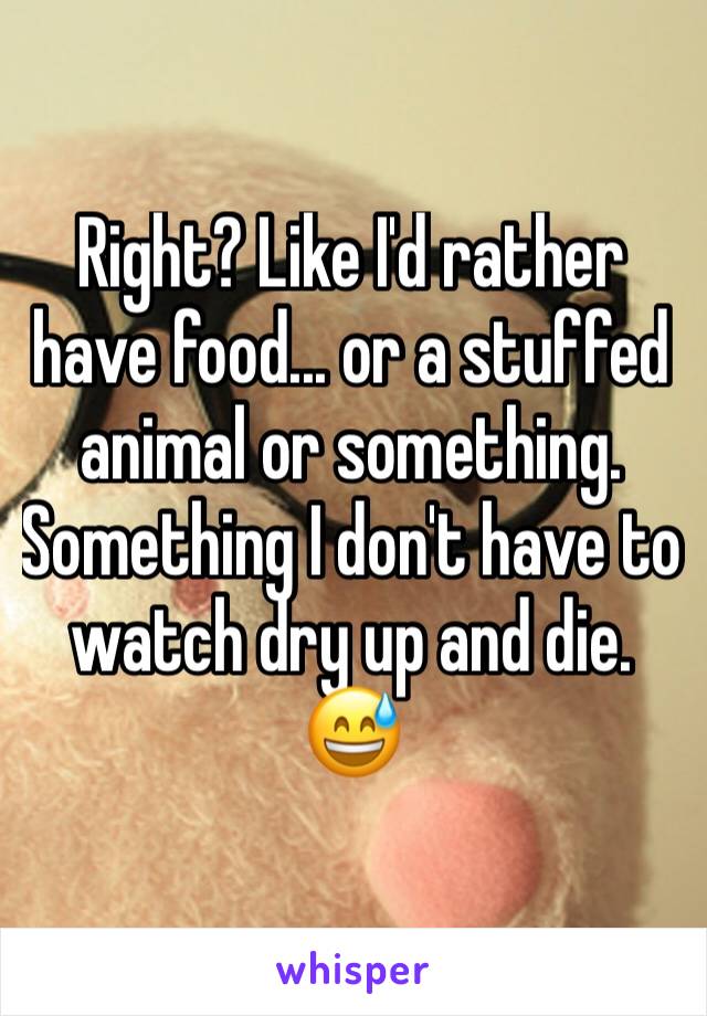 Right? Like I'd rather have food... or a stuffed animal or something. Something I don't have to watch dry up and die. 😅