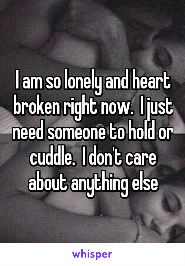 I am so lonely and heart broken right now.  I just need someone to hold or cuddle.  I don't care about anything else