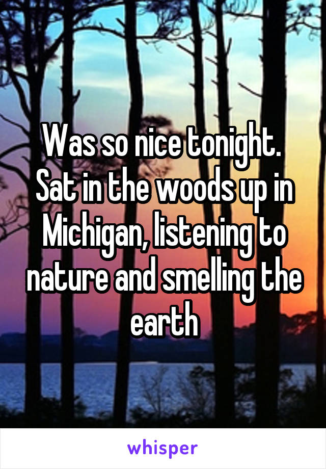 Was so nice tonight. 
Sat in the woods up in Michigan, listening to nature and smelling the earth