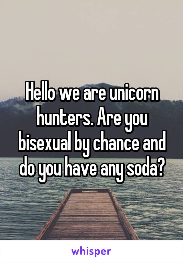 Hello we are unicorn hunters. Are you bisexual by chance and do you have any soda?