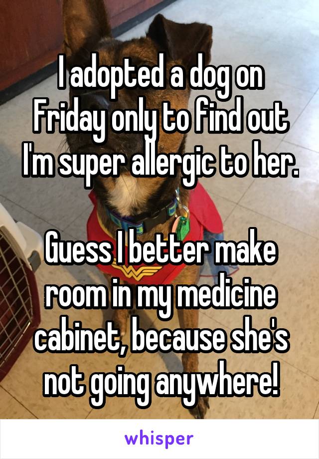 I adopted a dog on Friday only to find out I'm super allergic to her.

Guess I better make room in my medicine cabinet, because she's not going anywhere!