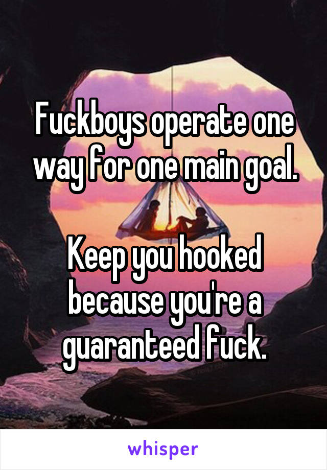 Fuckboys operate one way for one main goal.

Keep you hooked because you're a guaranteed fuck.