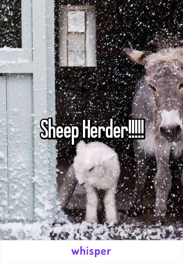 Sheep Herder!!!!!