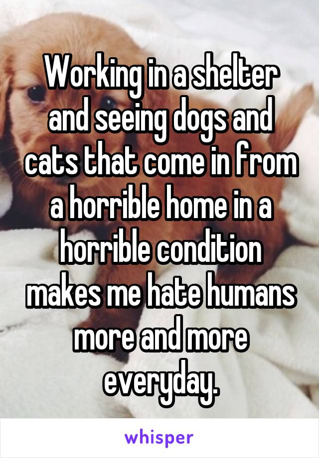 Working in a shelter and seeing dogs and cats that come in from a horrible home in a horrible condition makes me hate humans more and more everyday.
