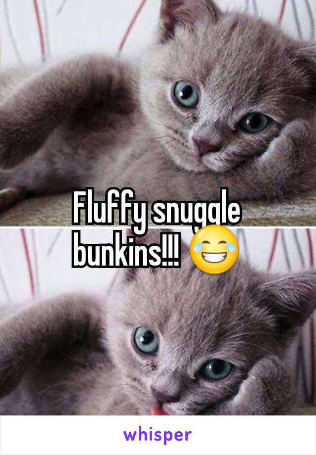 Fluffy snuggle bunkins!!! 😂