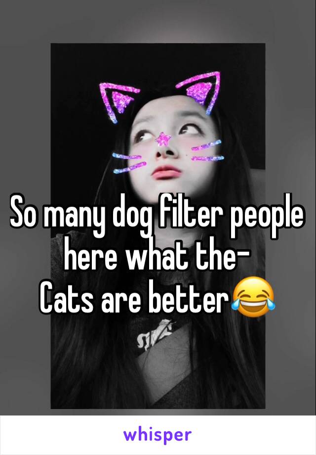 So many dog filter people here what the-
Cats are better😂