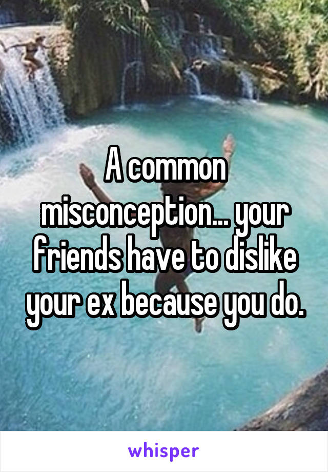 A common misconception... your friends have to dislike your ex because you do.