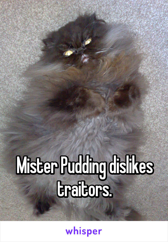 




Mister Pudding dislikes traitors.