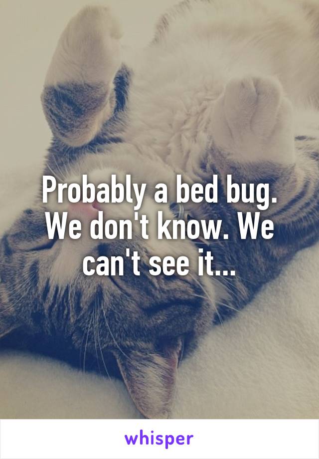 Probably a bed bug. We don't know. We can't see it...