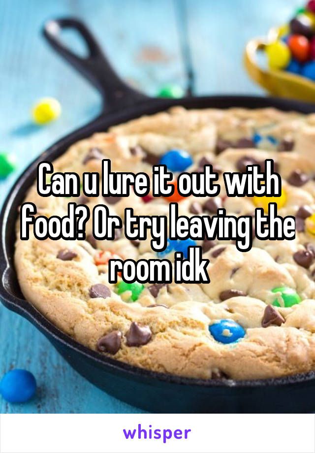 Can u lure it out with food? Or try leaving the room idk