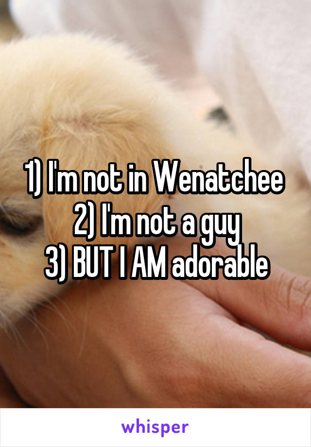 1) I'm not in Wenatchee 
2) I'm not a guy
3) BUT I AM adorable